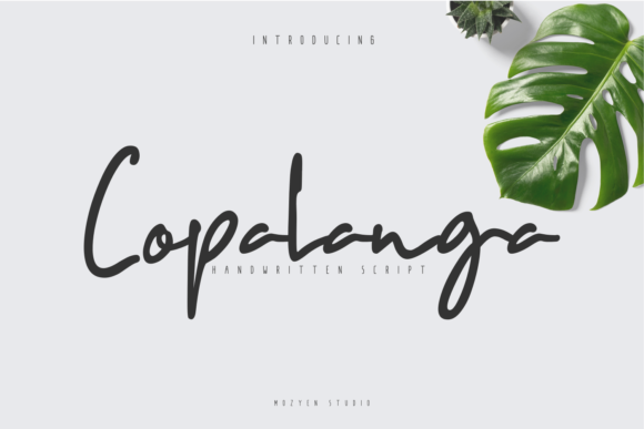 Copalanga: A Script Font for Creative Campaigns